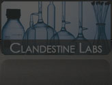 Clandestine Lab Services